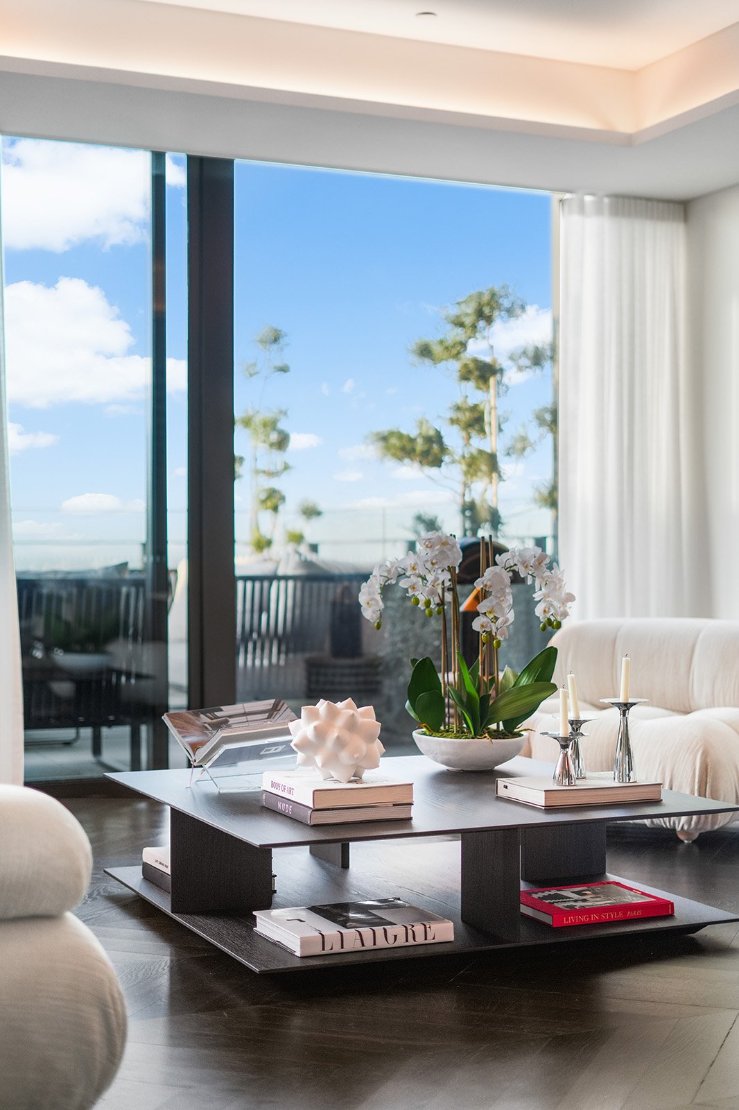 How to Take a Professional Video for a Real Estate Project in Australia